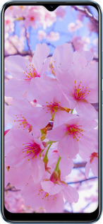 Силиконовый чехол Сакура для Realme C21 - 6029u-2321 изображение 