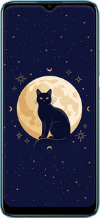 2D пластиковый чехол Cute Cat Celestial/Witchy для Realme C25Y - 6787t-2553 изображение 