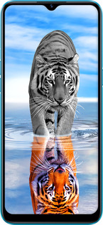 TPU чехол Тигр для Realme C3 - 6016b-1889 изображение 