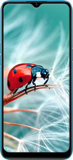 TPU чехол Божья коровка для Realme C3 - 6049b-1889 изображение 