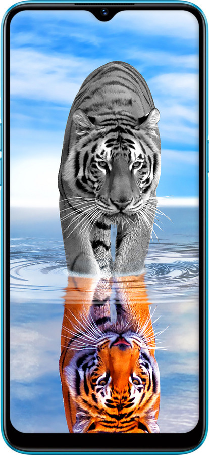 TPU чехол Тигр для Realme C3 - 6016b-1889 изображение 