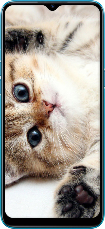 TPU чехол Котик для Realme C3 - 6024b-1889 изображение 