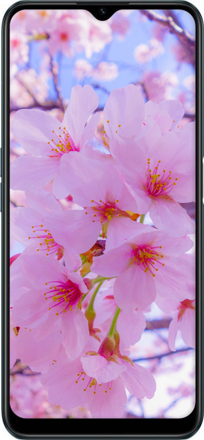 Силіконовий чехол Сакура для Realme C31 - 6029u-2593 изображение 