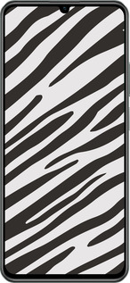 TPU чехол Классическая зебра для Realme C61 - 4874b-3781 изображение 