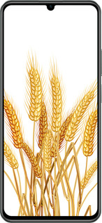 TPU чехол Колоски пшеници для Realme C61 - 5866b-3781 изображение 