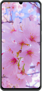 TPU чехол Сакура для Realme C61 - 6029b-3781 изображение 