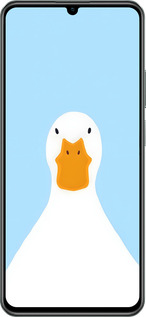 TPU чехол Гусь для Realme C61 - 6350b-3781 изображение 