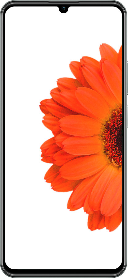 TPU чехол Гербера 1 для Realme C61 - 4534b-3781 изображение 