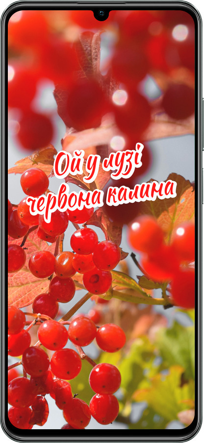 TPU чехол Калина для Realme C61 - 5454b-3781 изображение 