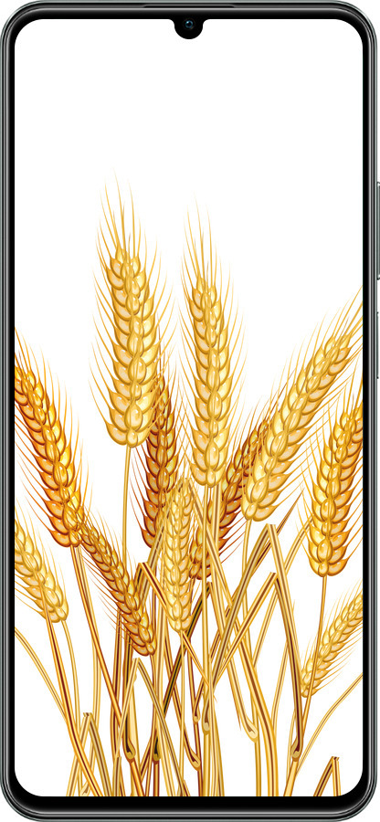 TPU чехол Колоски пшеници для Realme C61 - 5866b-3781 изображение 