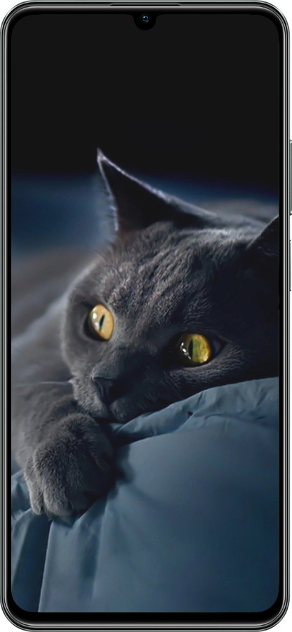 TPU чехол Дымчатый кот для Realme C61 - 825b-3781 изображение 