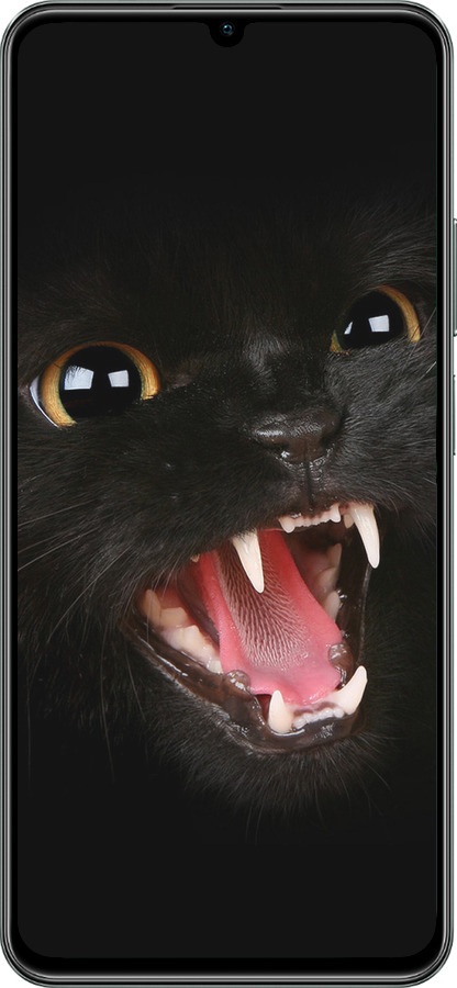 TPU чехол Чёрная кошка для Realme C61 - 932b-3781 изображение 