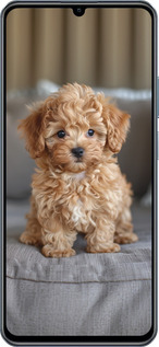 TPU чехол Mini-maltipoo для Realme C63 4G - 6158b-3745 изображение 