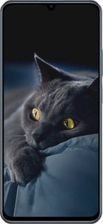TPU чехол Дымчатый кот для Realme C63 4G - 825b-3745 изображение 