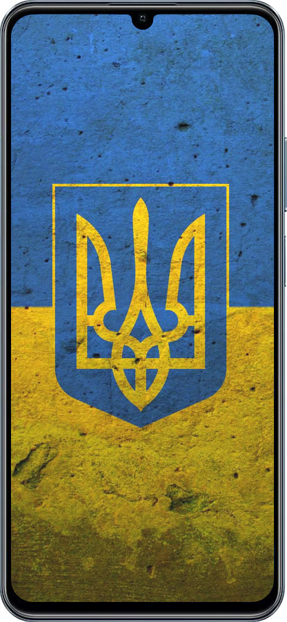TPU чехол Флаг и герб Украины 2 для Realme C63 4G - 378b-3745 изображение 