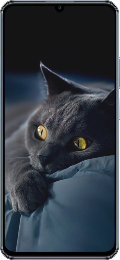 TPU чехол Дымчатый кот для Realme C63 4G - 825b-3745 изображение 