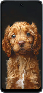TPU чехол Cocker spaniel на черном фоне для Realme C65 4G - 6137b-3719 изображение 