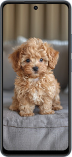 TPU чехол Mini-maltipoo для Realme C65 4G - 6158b-3719 изображение 