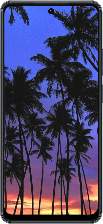 TPU чехол Пальми для Realme C65 4G - 4324b-3719 изображение 