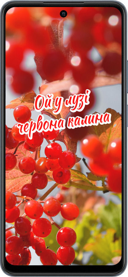 TPU чехол Калина для Realme C65 4G - 5454b-3719 изображение 