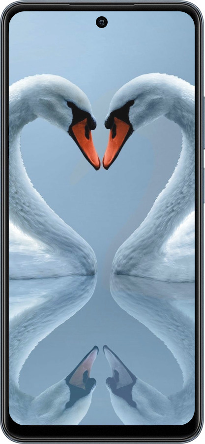 TPU чехол Лебеди для Realme C65 4G - 6007b-3719 изображение 