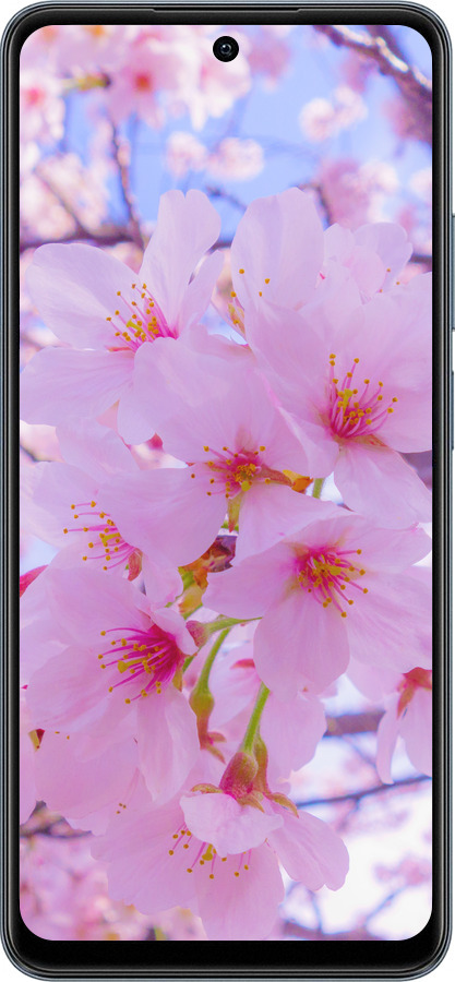 TPU чехол Сакура для Realme C65 4G - 6029b-3719 изображение 
