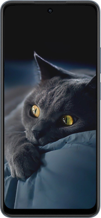 TPU чехол Димчастий кіт для Realme C65 4G - 825b-3719 изображение 