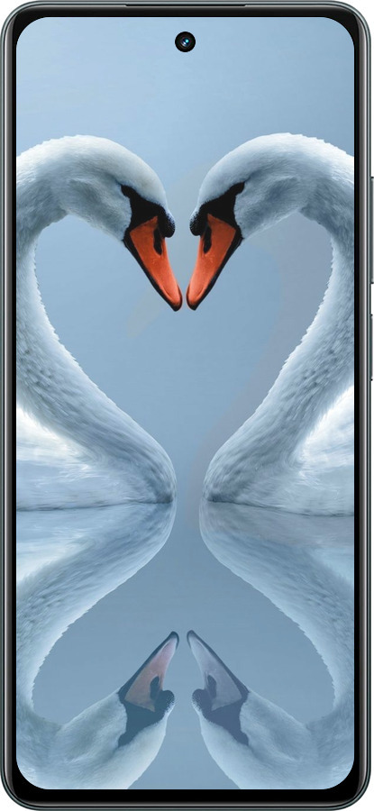 Силіконовий чехол Лебеді для Realme C67 4G - 6007u-3648 изображение 