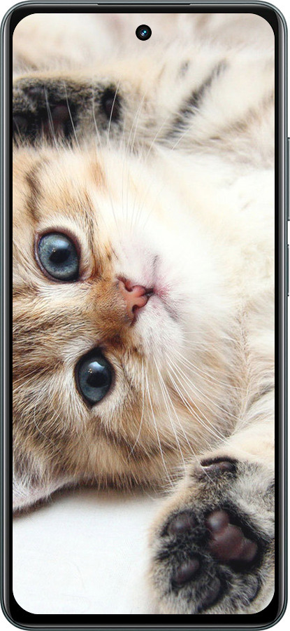 Силиконовый чехол Котик для Realme C67 4G - 6024u-3648 изображение 