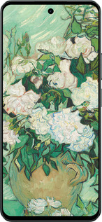 Силиконовый чехол Винсент Ван Гог. Ваза с розами для Realme C71 - 5543u-4089 изображение 