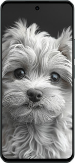 Силиконовый чехол Мальтипу на чорном фоне для Realme C71 - 6156u-4089 изображение 