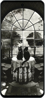 Силиконовый чехол Череп и коты для Realme C71 - 6432u-4089 изображение 