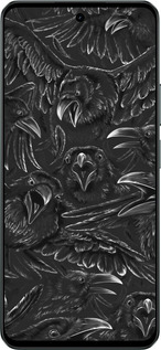 Силиконовый чехол Воронья ярость для Realme C71 - 6474u-4089 изображение 