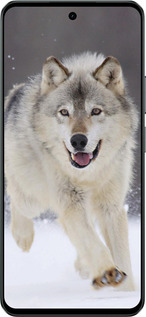 Силиконовый чехол Бегущий волк для Realme C71 - 826u-4089 изображение 