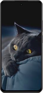 Силіконовий чехол Димчастий кіт для Realme C75 4G - 825u-3878 изображение 