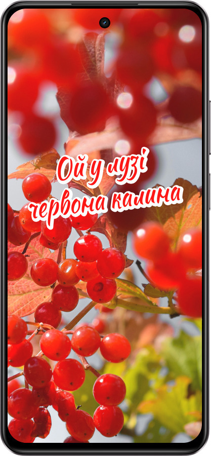 Силиконовый чехол Калина для Realme C75 4G - 5454u-3878 изображение 