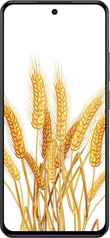Силіконовий чехол Колоски пшениці для Realme C75 4G - 5866u-3878 изображение 
