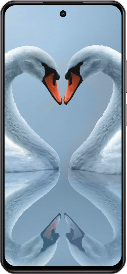 Силиконовый чехол Лебеди для Realme C75 4G - 6007u-3878 изображение 