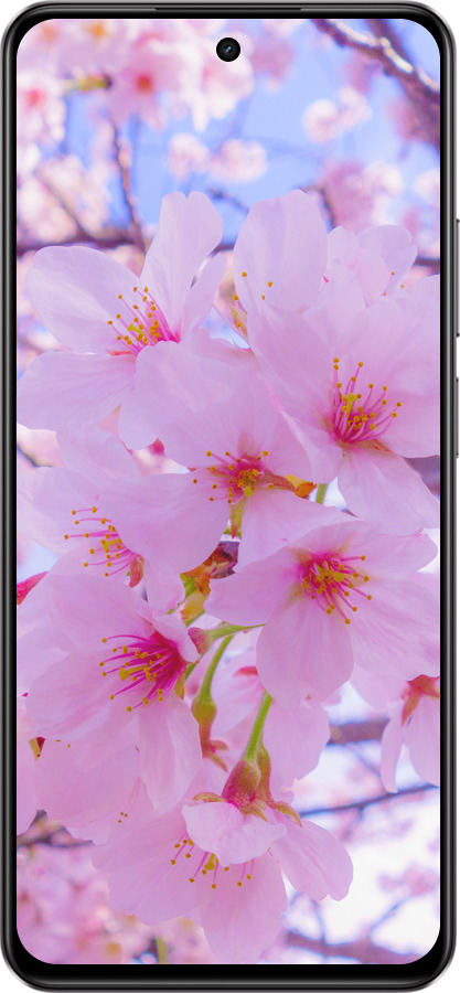 Силиконовый чехол Сакура для Realme C75 4G - 6029u-3878 изображение 