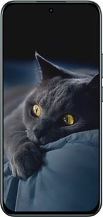 Силіконовий чехол Димчастий кіт для Realme C85 Pro - 825u-4218 изображение 