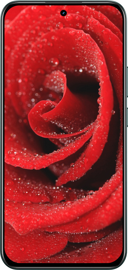 Силіконовий чехол Червона троянда для Realme C85 Pro - 529u-4218 изображение 