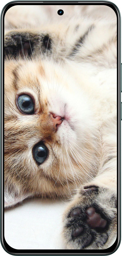 Силиконовый чехол Котик для Realme C85 Pro - 6024u-4218 изображение 
