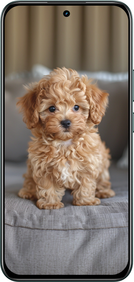 Силиконовый чехол Mini-maltipoo для Realme C85 Pro - 6158u-4218 изображение 