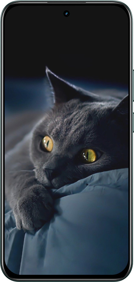 Силіконовий чехол Димчастий кіт для Realme C85 Pro - 825u-4218 изображение 