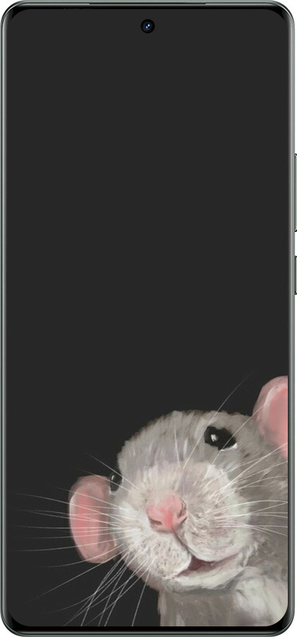 Силиконовый чехол The Peeking Rat для Realme GT Neo6 - 6442u-3858 изображение 
