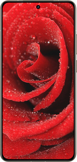 Силиконовый чехол Красная роза для Realme GT 7 Pro - 529u-3893 изображение 