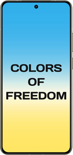 Силиконовый чехол Colors of Freedom для Realme GT 7 Pro - 5453u-3893 изображение 