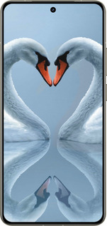 Силиконовый чехол Лебеди для Realme GT 7 Pro - 6007u-3893 изображение 