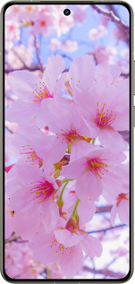 Силиконовый чехол Сакура для Realme GT 7 Pro - 6029u-3893 изображение 