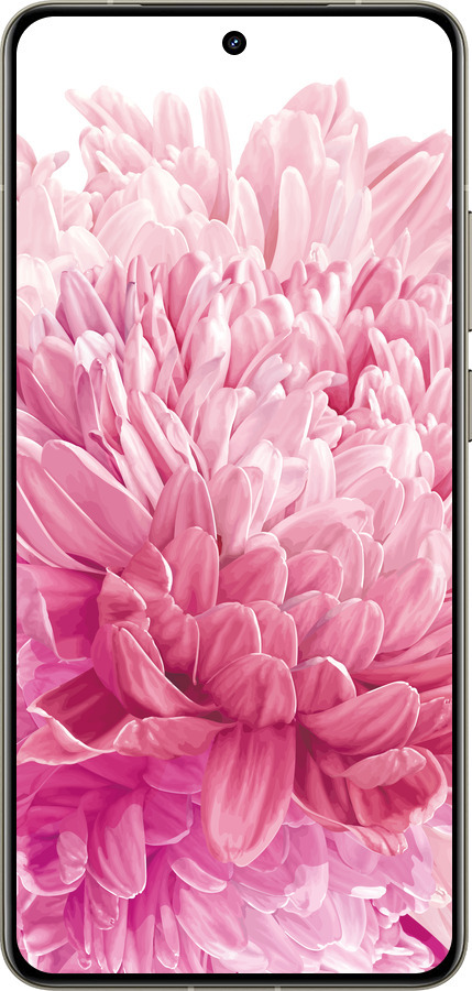 Силиконовый чехол Хризантема для Realme GT 7 Pro - 4666u-3893 изображение 